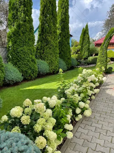 USŁUGI OGRODNICZE Leśnik i Spółka